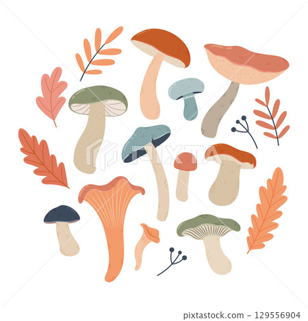 Autumn composition of mushrooms and leaves in soft autumn colors. Hand drawn edible and wild mushrooms, autumn leaves and berries on a white background. Autumn composition of mushrooms and leaves in soft autumn colors. Hand drawn edible and wild mushrooms, autumn leaves and berries on a white background. 129556904