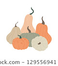 Hand drawn pumpkin. Autumn harvest decorative gourds 129556941