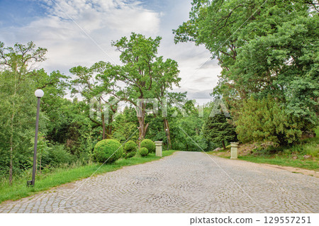 Cobblestone path in palace park Cobblestone path in palace park 129557251