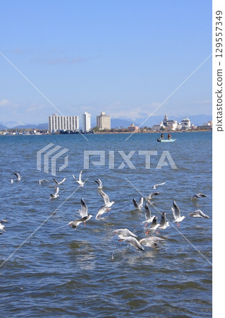 滋賀郡琵琶湖：片田浮見堂及其風景 129557349