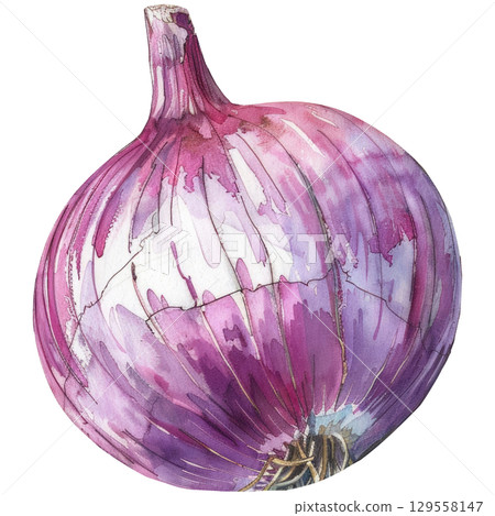 Organic purple onion in watercolor style, capturing its spherical form and translucent layers. Clean white background isolated for versatile design applications 129558147