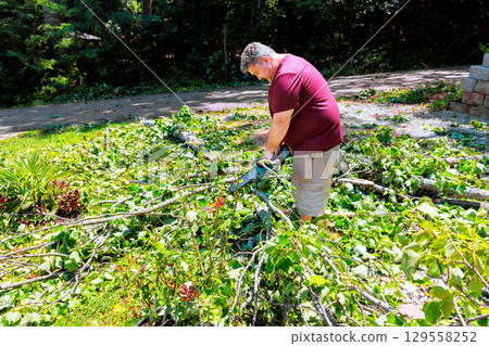 Man trimming branches clearing foliage in residential yard during sunny afternoon Man trimming branches clearing foliage in residential yard during sunny afternoon 129558252