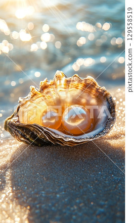 Stunning Oyster Shell With Pearls Resting on Sandy Beach at Sunrise 129558519