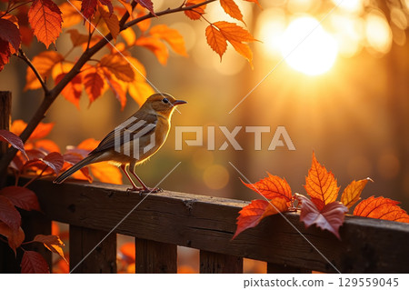 Small bird on a wooden railing. 129559045