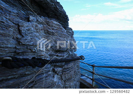 愛媛縣伊方町番所花 129560482