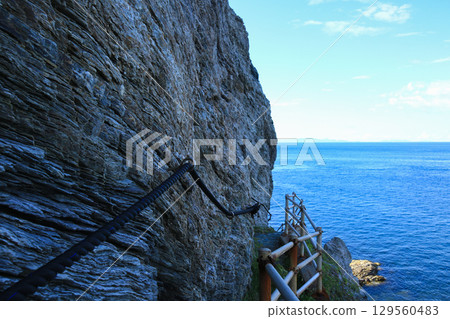 愛媛縣伊方町番所花 129560483