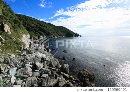 愛媛縣伊方町番所花 129560491