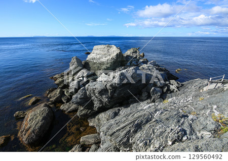 愛媛縣伊方町番所花 129560492