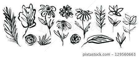 Set of hand drawing black ink flowers, leaves and grass. Sketch distressed brush stroke textured floral blossoms and botanical elements for pattern design, greeting card, logo, sticker 129560663