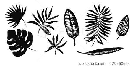 Set of vector black ink hand drawing tropic leaves, exotic plants, ferns. Trendy sketch set of floral monstera, palm, banana leaf silhouettes for textile pattern design, greeting card, logo, banner Set of vector black ink hand drawing tropic leaves, exotic plants, ferns. Trendy sketch set of floral monstera, palm, banana leaf silhouettes for textile pattern design, greeting card, logo, banner 129560664