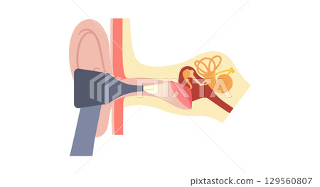 Human ear exam 129560807