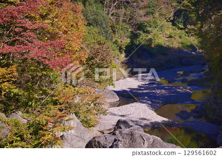 Sampasekikyo Gorge in Autumn 129561602