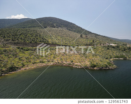 coastal olive slopes meeting the aegean at gokova bay, mugla province, Turkey 129561743