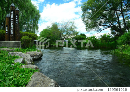 Azumino wasabi field spring group Azumino wasabi field spring group 129561916