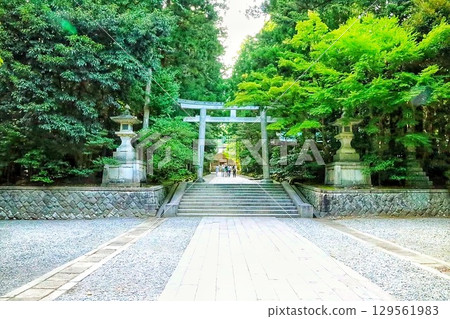 被新鮮綠樹包圍的場景 被新鮮綠樹包圍的場景 129561983