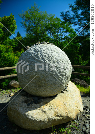 安zu野的大芥末農場 129562019