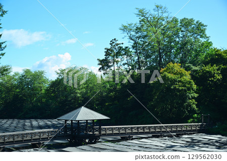 Daio Wasabi Farm in Azumino Daio Wasabi Farm in Azumino 129562030
