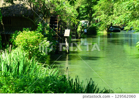 安zu野的大芥末農場 安zu野的大芥末農場 129562060