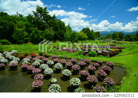 State-run Alpine Azumino Park State-run Alpine Azumino Park 129562511