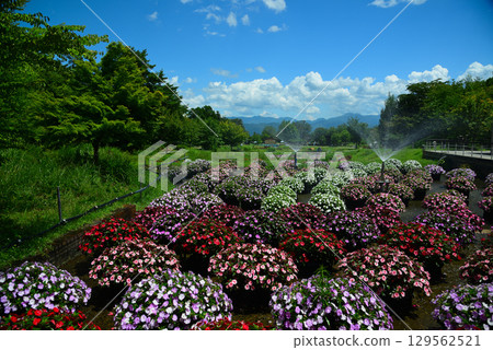 State-run Alpine Azumino Park 129562521