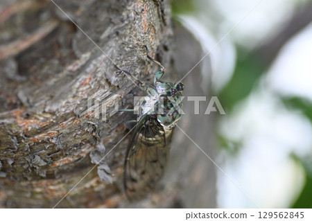 民民研討會 鎌倉市 129562845