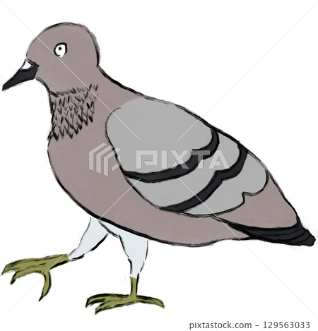一隻溫順的鴿子插圖（PNG） 129563033