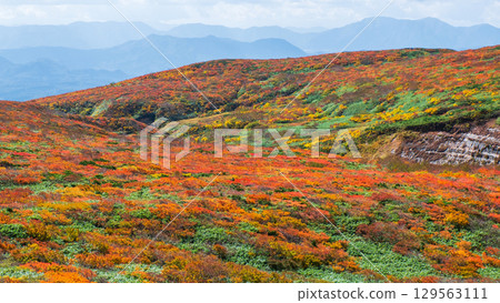 秋季攀登栗駒山(神的地毯) 秋季攀登栗駒山(神的地毯) 129563111