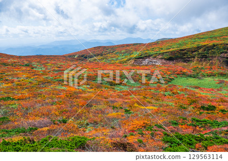 Climbing Mount Kurikoma in Autumn (God's Carpet) Climbing Mount Kurikoma in Autumn (God's Carpet) 129563114