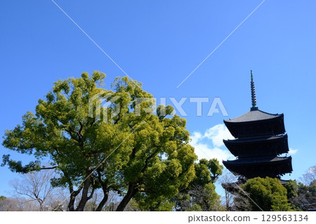 Scenery with Toji Temple and the five-story pagoda 129563134