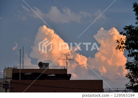 Akishima City: Summer evening sky and pink cumulonimbus clouds 129563194