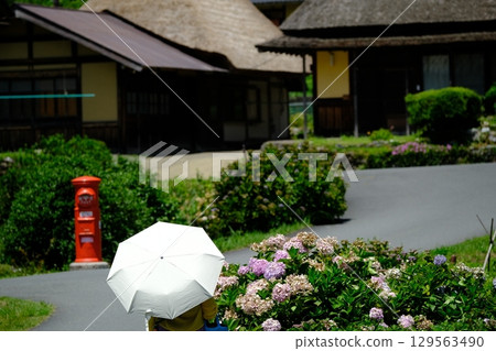 Midsummer in Miyama Village 129563490