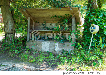 An old wooden shed in the forest 129563519