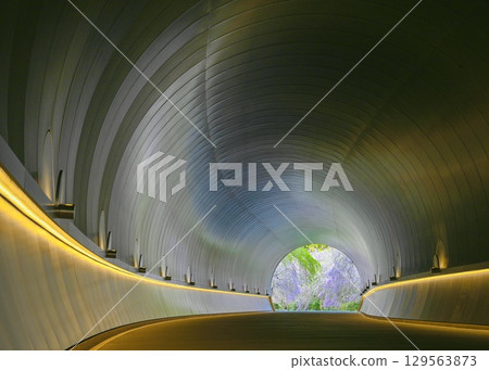 Cherry Blossom Tunnel - Reflection on the Ceiling 129563873