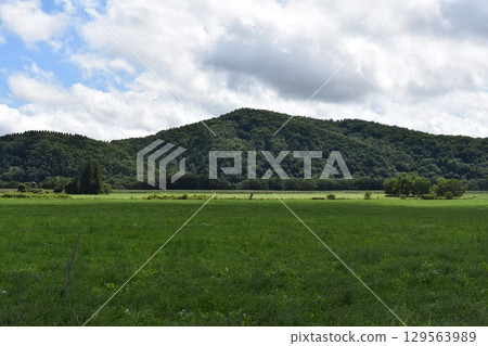 北海道在夏天 129563989