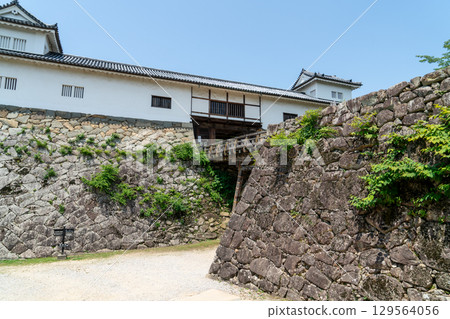 彥根城堡 彥根城堡 129564056