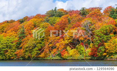 八幡平大沼（秋季） 129564090