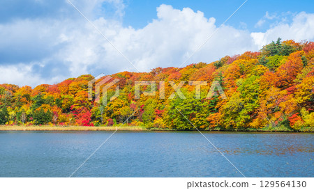 八幡平大沼（秋季） 129564130