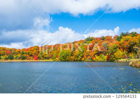 八幡平大沼（秋季） 129564131