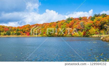 Hachimantai Onuma (Autumn) Hachimantai Onuma (Autumn) 129564132
