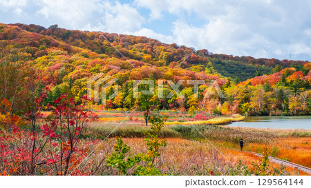 八幡平大沼（秋季） 129564144