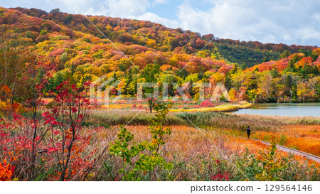八幡平大沼(秋季) 八幡平大沼(秋季) 129564146