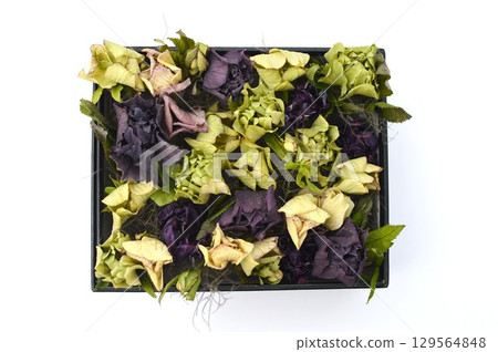Square arrangement of dried Christmas rose flowers 129564848
