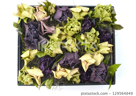 聖誕玫瑰乾燥花方形排列 129564849