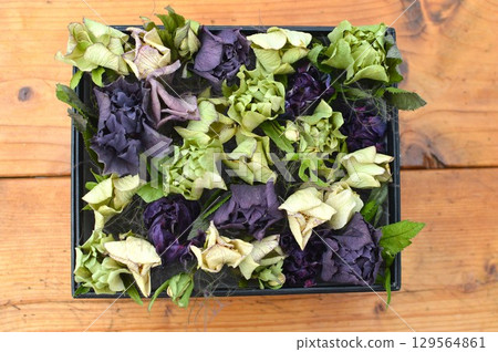 聖誕玫瑰乾燥花方形排列 聖誕玫瑰乾燥花方形排列 129564861