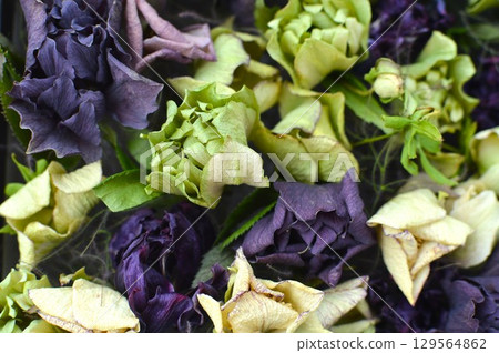 聖誕玫瑰乾燥花插花 聖誕玫瑰乾燥花插花 129564862