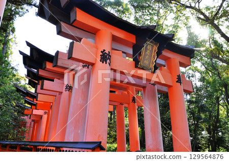 The Thousand Torii Gates of Fushimi Taisha Shrine 129564876