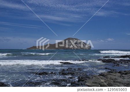 95997 Makapuu 海灘公園, 歐胡島, 夏威夷 129565003