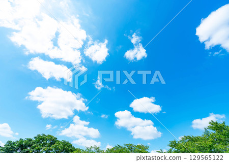 藍天、白雲、陽光和樹木 藍天、白雲、陽光和樹木 129565122