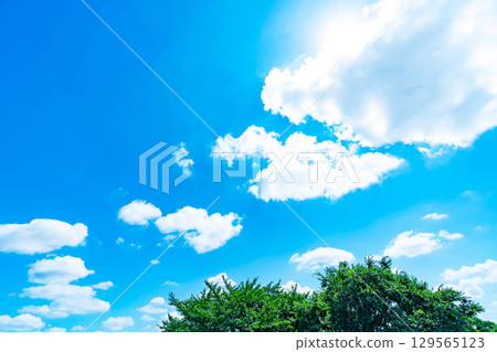 Blue sky, clouds, sun and trees 129565123