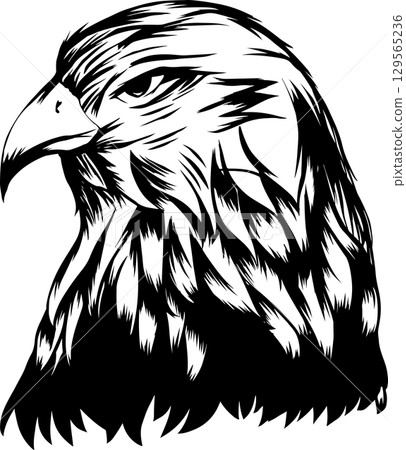 鷹型部落插圖 129565236